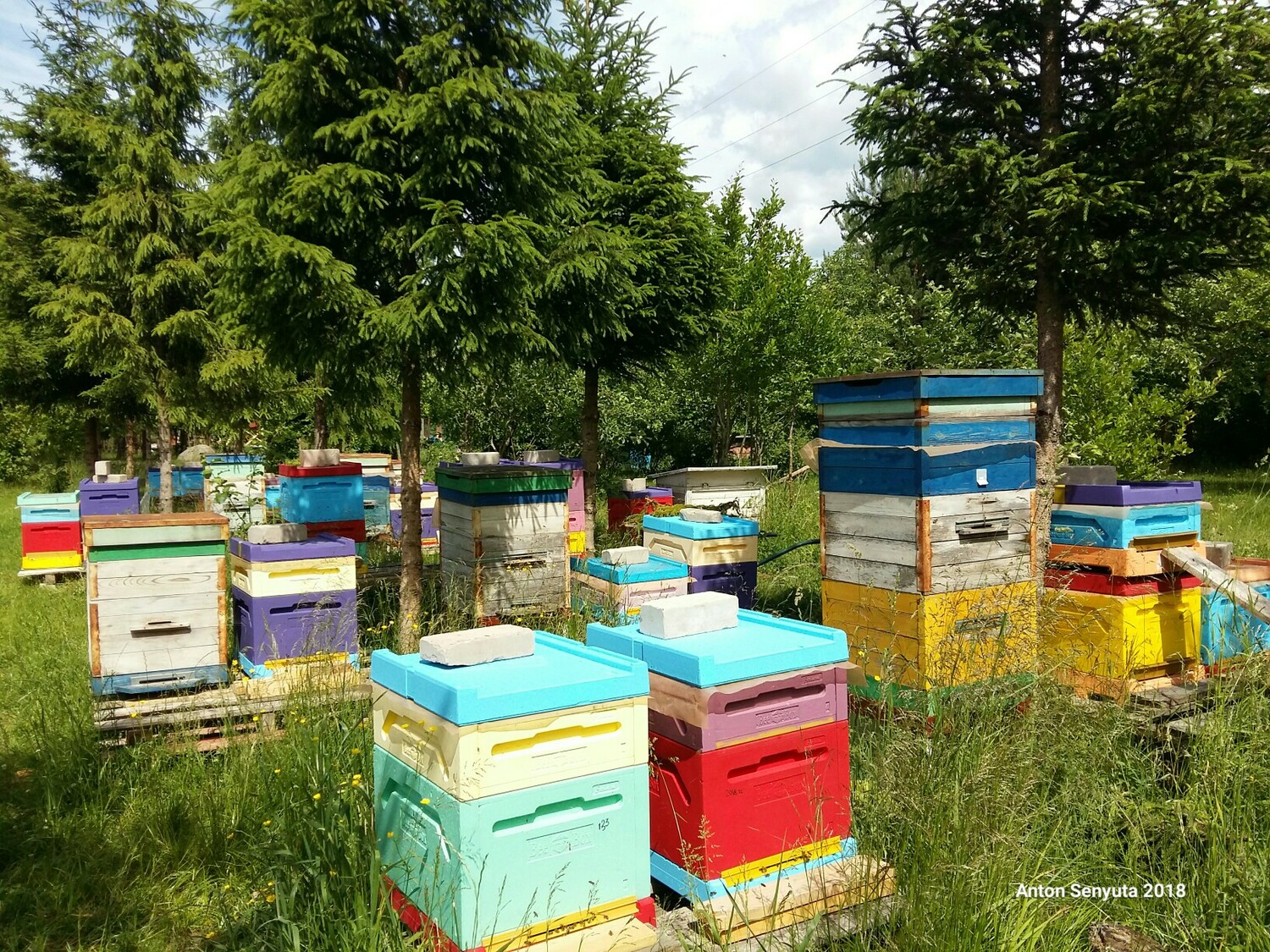 БЕСПЛАТНАЯ ДОСТАВКА, неизменное качество,110мл 